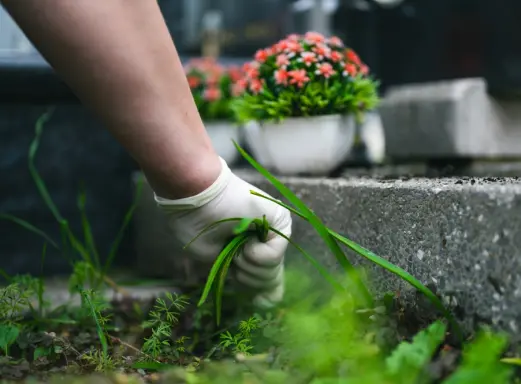 La Conciergerie Du Souvenir Entretien Sepultures A Limoges Entretien