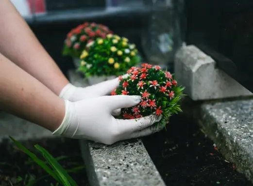 La Conciergerie Du Souvenir Entretien Sepultures A Limoges Plantation