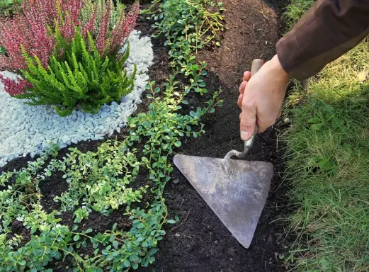 La Conciergerie Du Souvenir Entretien Sepultures A Limoges Suivi Des Vegetaux