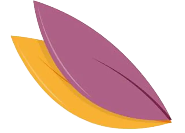 La Conciergerie Du Souvenir Entretien Sepultures A Limoges Entretien Des Sepultures Dans Les Cimetieres