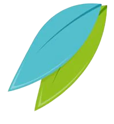 La Conciergerie Du Souvenir Entretien Sepultures A Limoges Specialisee Dans Le Nettoyage